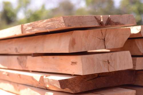 Wood Natural Wood Forestry Oak Tree Hardwood