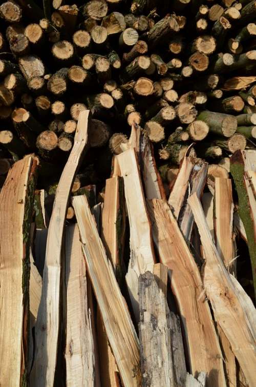 Wood Firewood Holzstapel Growing Stock Timber