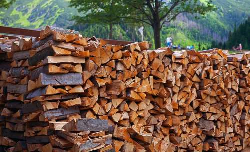 Wood Fuel Firewood Logs Wood Logs Beech Logs