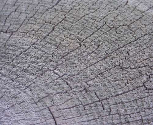 Wood Wood Grain Saw Cut Sawed Lumber Background