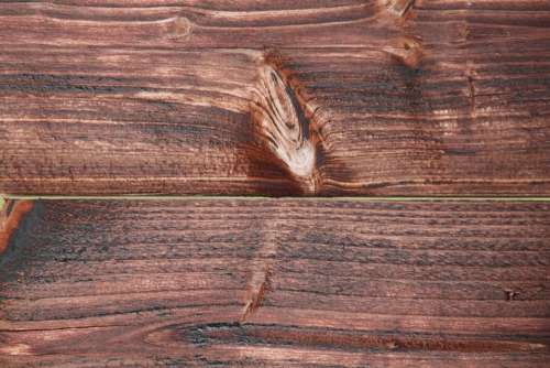 Wood Background Grain Texture Nature Bark