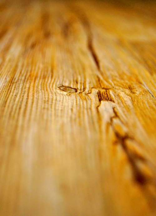 Wood Ground Plank Nature Background Of Course