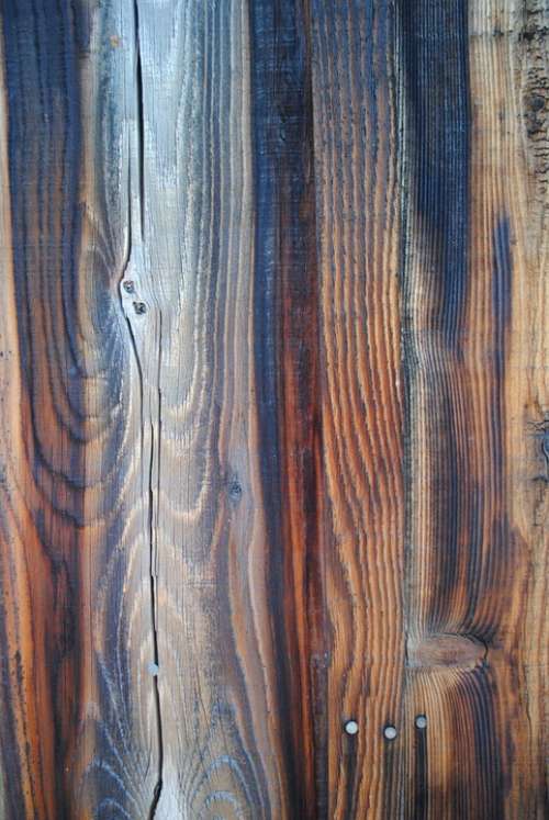 Wood Grain Wood Detail Texture Material Nature
