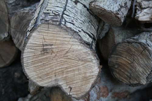 Wood Pile Sawn Wood Timber Lumber Stack Firewood