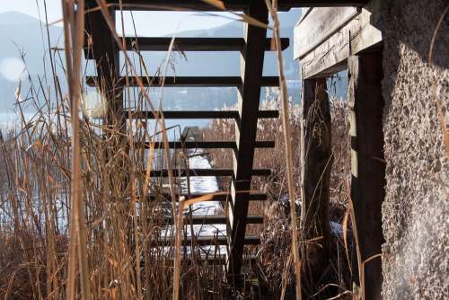 Wood Stairs Web Boardwalk Lake Bank Sky Water