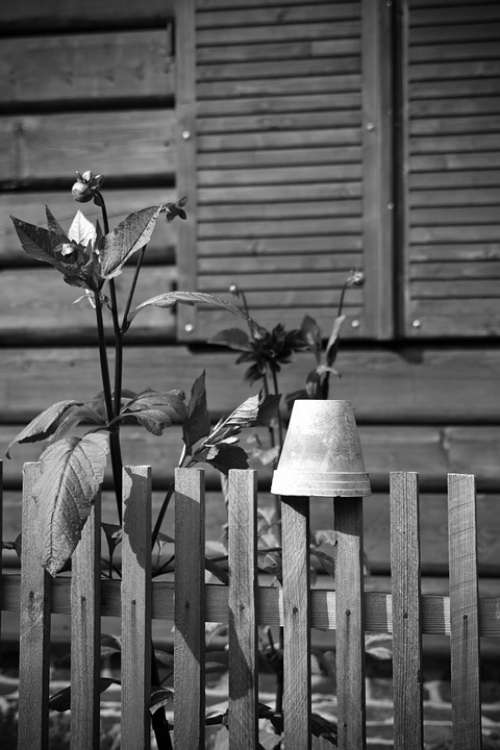 Wooden Fence Flowers Pot Village House Home