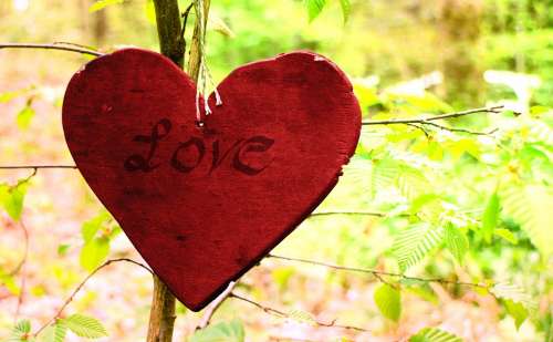 Wooden Heart Heart Symbol Love Romance Nature