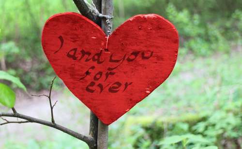 Wooden Heart Heart Symbol Love Romance Nature