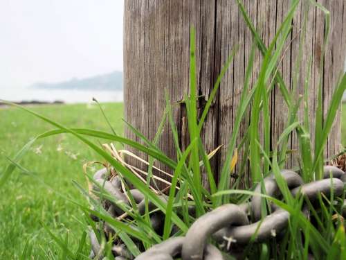 Wooden Pole Chain Grass Nature Green Chained