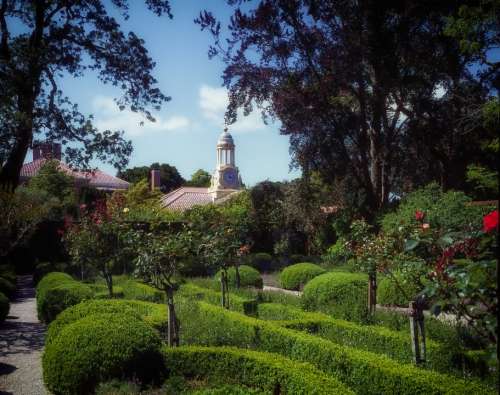 Woodside California Filoli Garden Landscaping