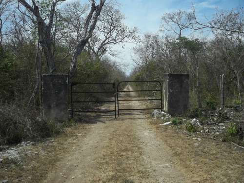 Yucatan Mexico Landscape Trees Road Dirt Gate