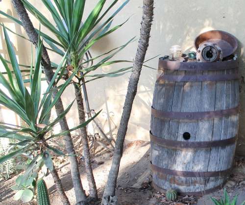 Yucca Barrel Rustic Antiques Garden Old Wooden