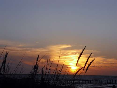 Zingst Evening Sunset Baltic Sea Darß Sea Beach
