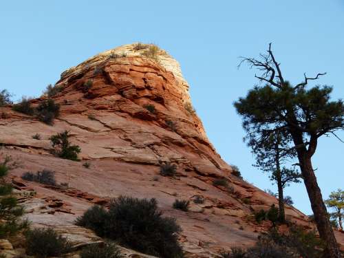 Zion National Park Utah Usa Landscape Canyon Rock