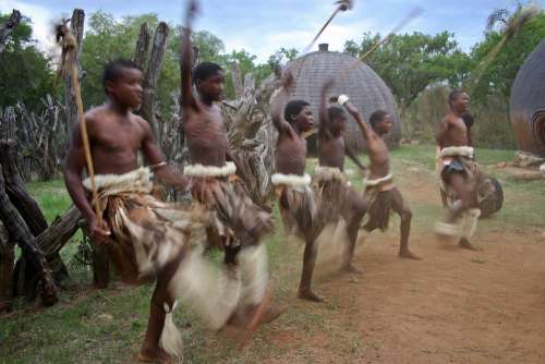Zulu Youths War Dance Animal Skin Skirts Movement