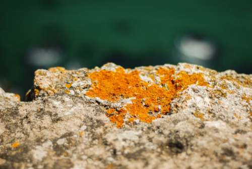 Orange rock
