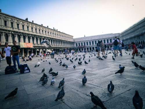 St. Mark’s Square, Venice, Italy.