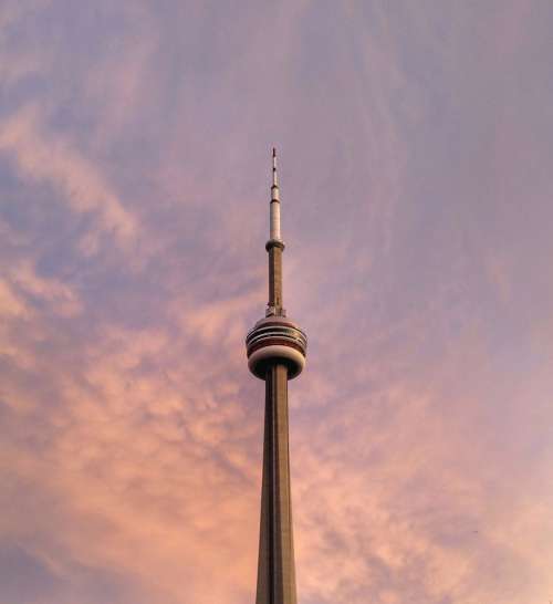 CN Tower Pink Sunset Photo