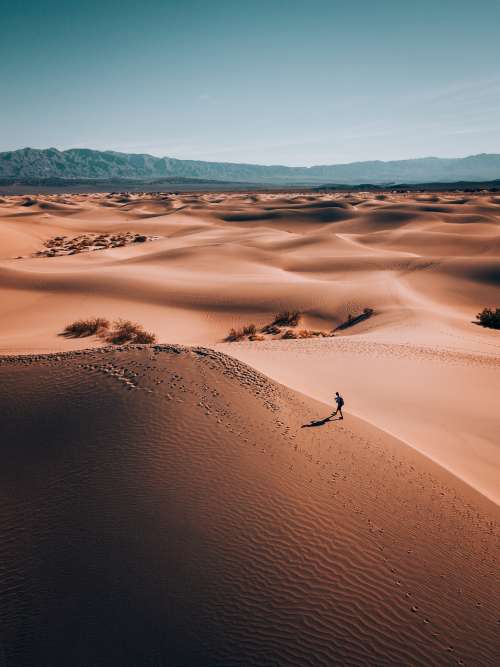 A Lone Wanderer In A Desert Land Photo