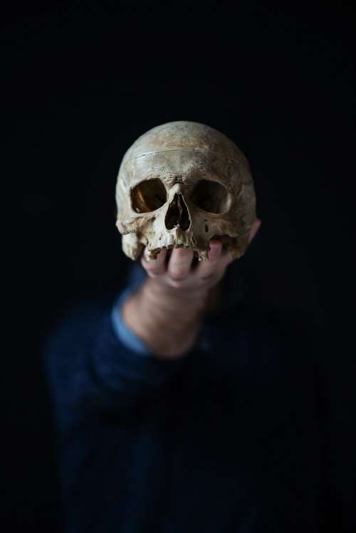 A Man Holds Out A Skull In His Palm Photo