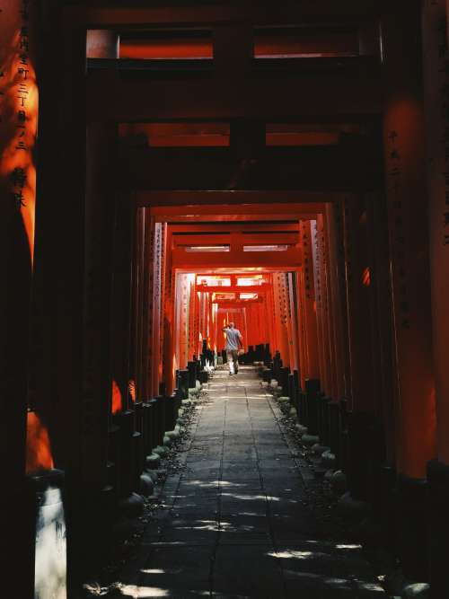 A Man Wanders Through Red Arches In Japan Photo