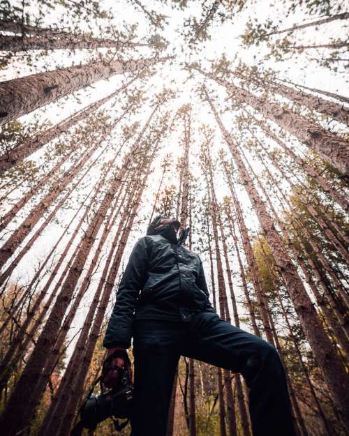 A Man With A Camera Stares Up At The Sky Through The Trees Photo