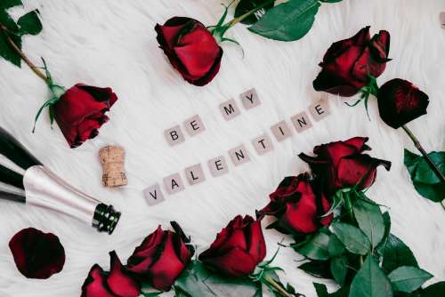 Be My Valentine With Roses Photo