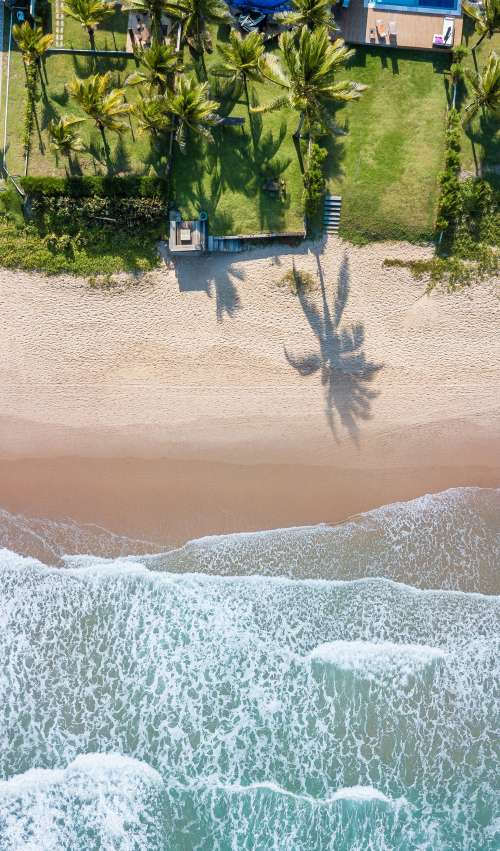 Beachside Yards With Palms By Water Photo
