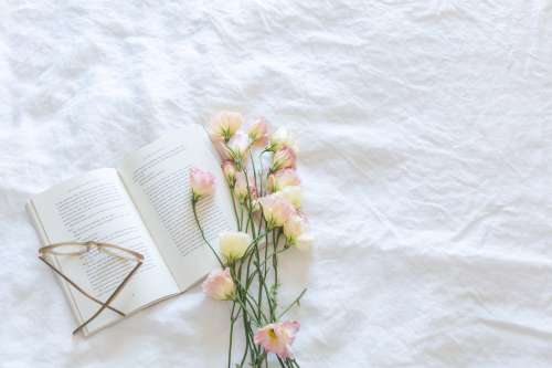 Beautiful Book & Flowers Photo