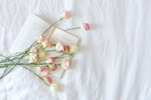 Bed With Book And Flowers Photo