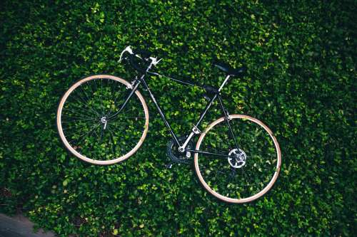 Bicycle In The Garden Photo