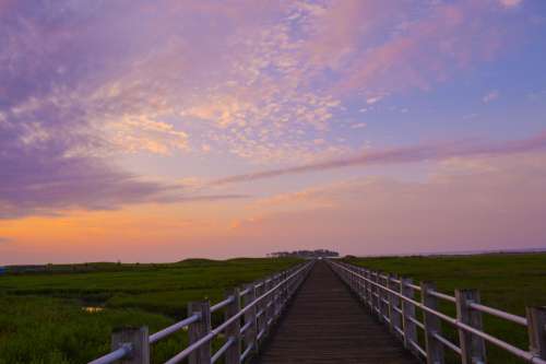 Boardwalk Through Marsh Under Bright Purple Sky Photo