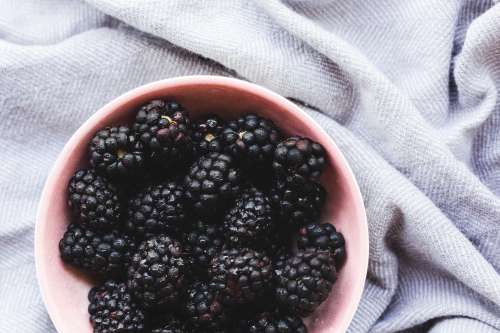 Bowl Of Blackberries Photo