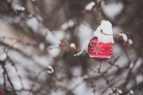 Christmas Ornament Outdoors Photo
