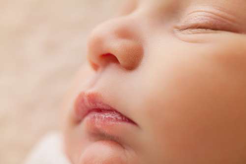 Closeup Sleeping Baby Photo