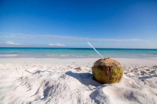 Coconut Drink On Beach Photo