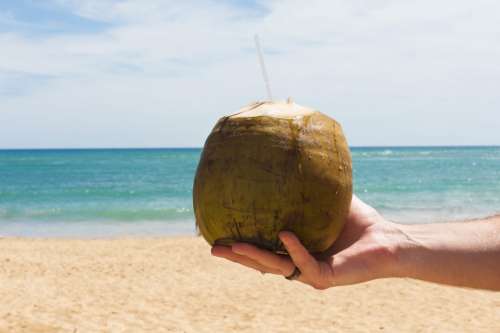 Coconut With Straw On Beach Photo