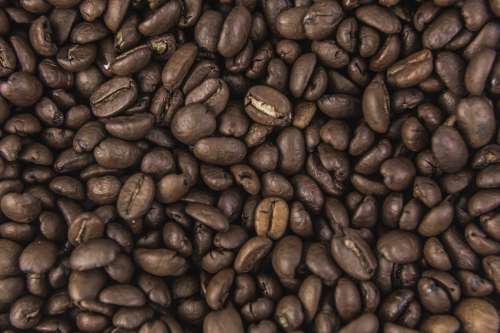 Coffee Beans From Above Photo