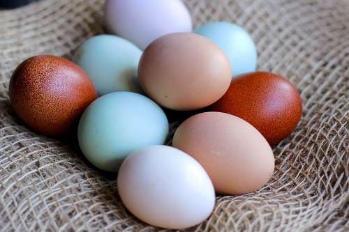 Colorful Bunch Of Fresh Organic Eggs In Burlap Photo