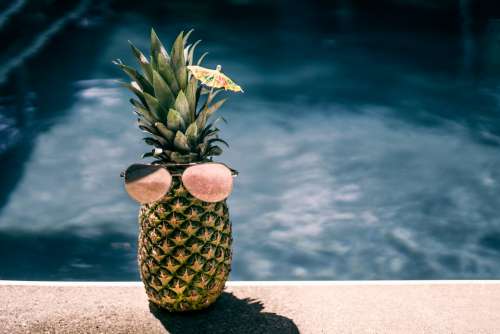 Cool Pool Pineapple Photo
