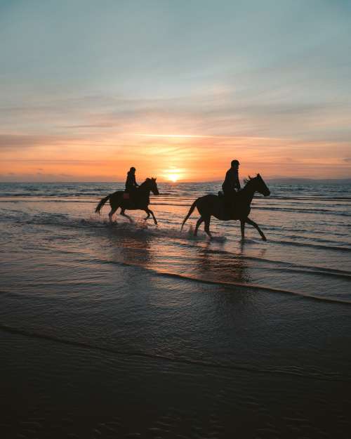 Couple Rides Horseback On A Sunset Beach Photo