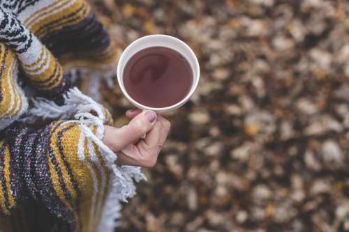 Cup Of Tea In Autumn Photo