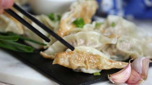 Delicious Dumplings Photo