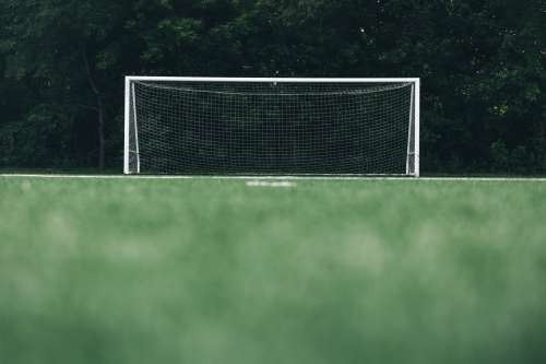 Empty Soccer Net In Front Of Forest Low Angle Photo