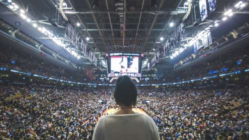 Fan At Basketball Game Photo