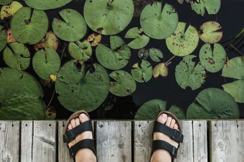 Feet On Dock Above Lily Pads Photo