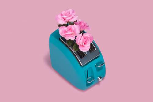 Flowers In Toaster Photo