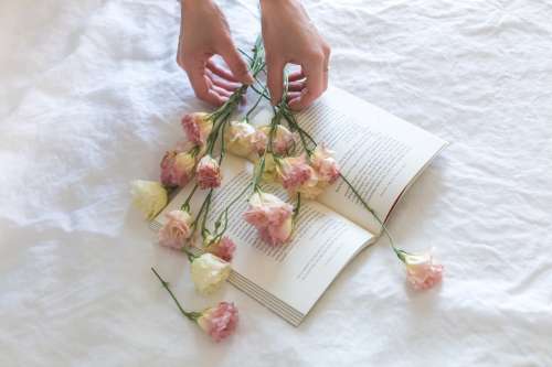 Flowers On A Book Photo