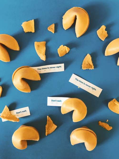 Fortune Cookies Don't Wait Photo