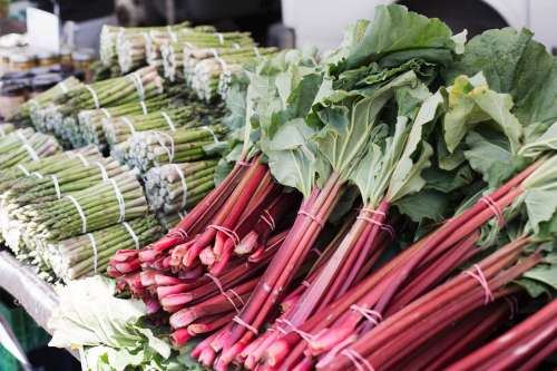 Fresh Market Vegetables Photo